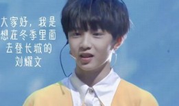 刘耀文被队友爆料视频大全,揭秘背后真相与争议